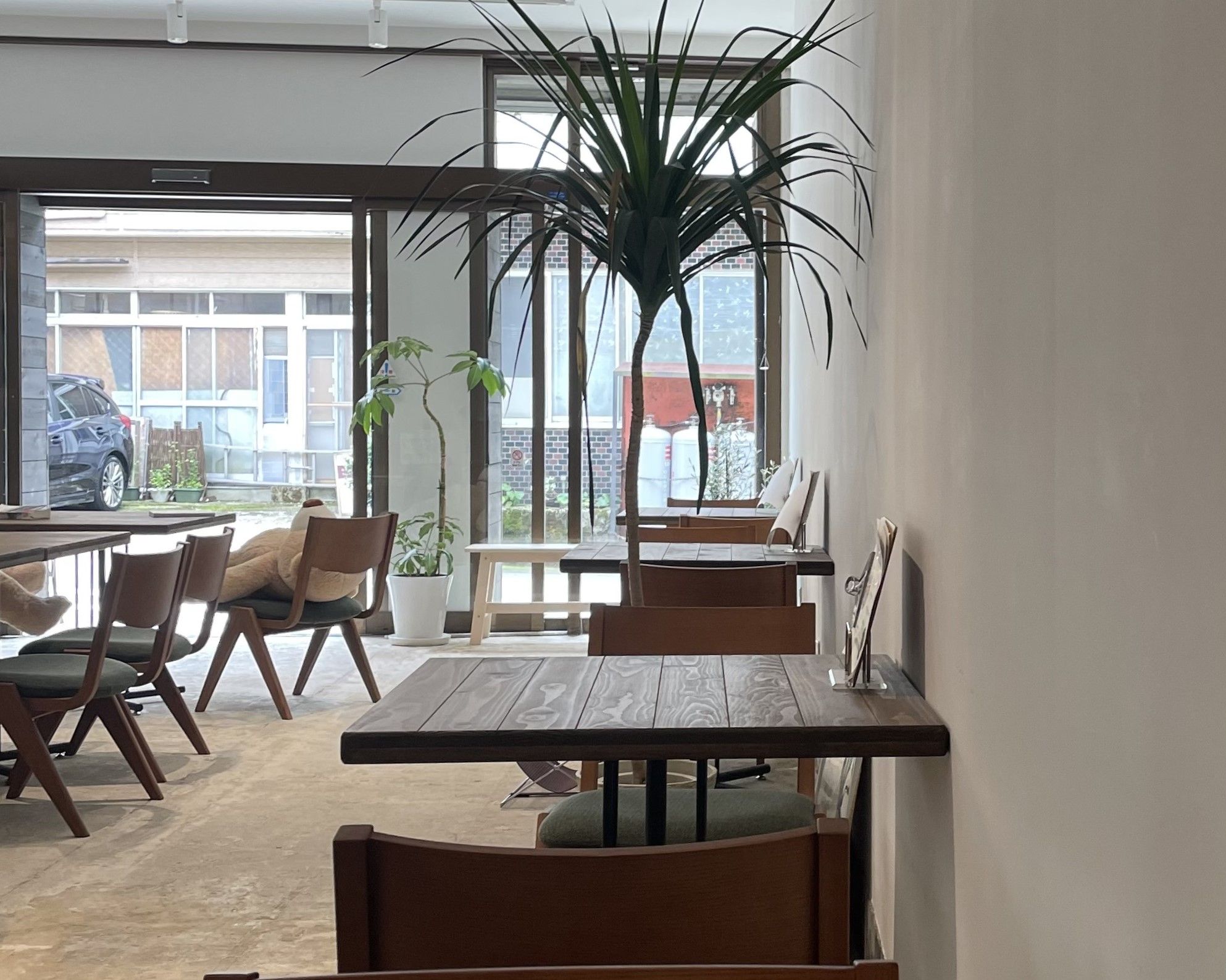 A modern interior with a dining area, chairs, a table, and a large plant.