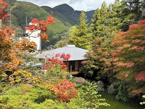 A traditional Japanese house with a sloped roof, surrounded by lush greenery and a small pond.