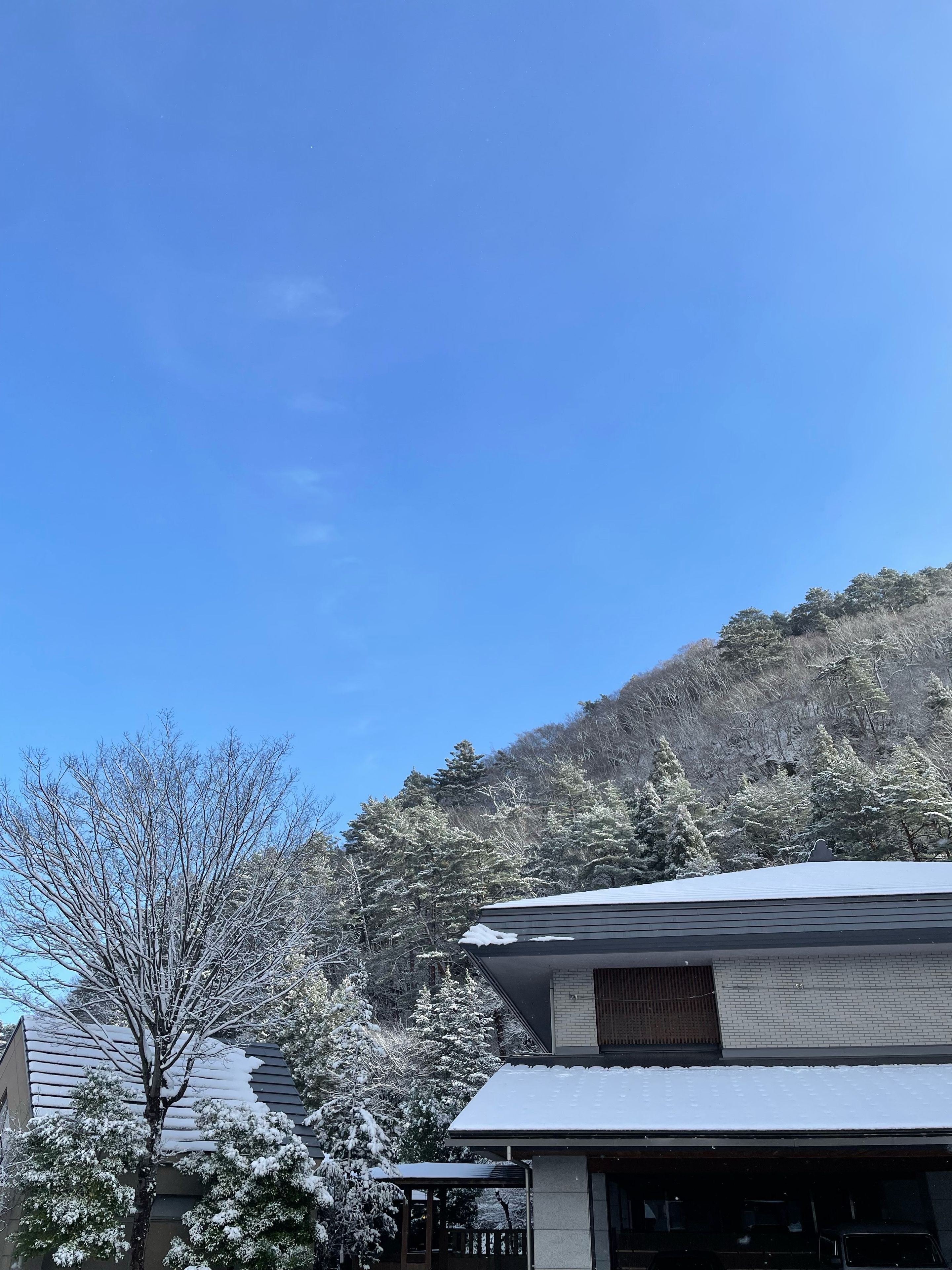 A residential area with snow-covered trees and a house with a sloped roof.