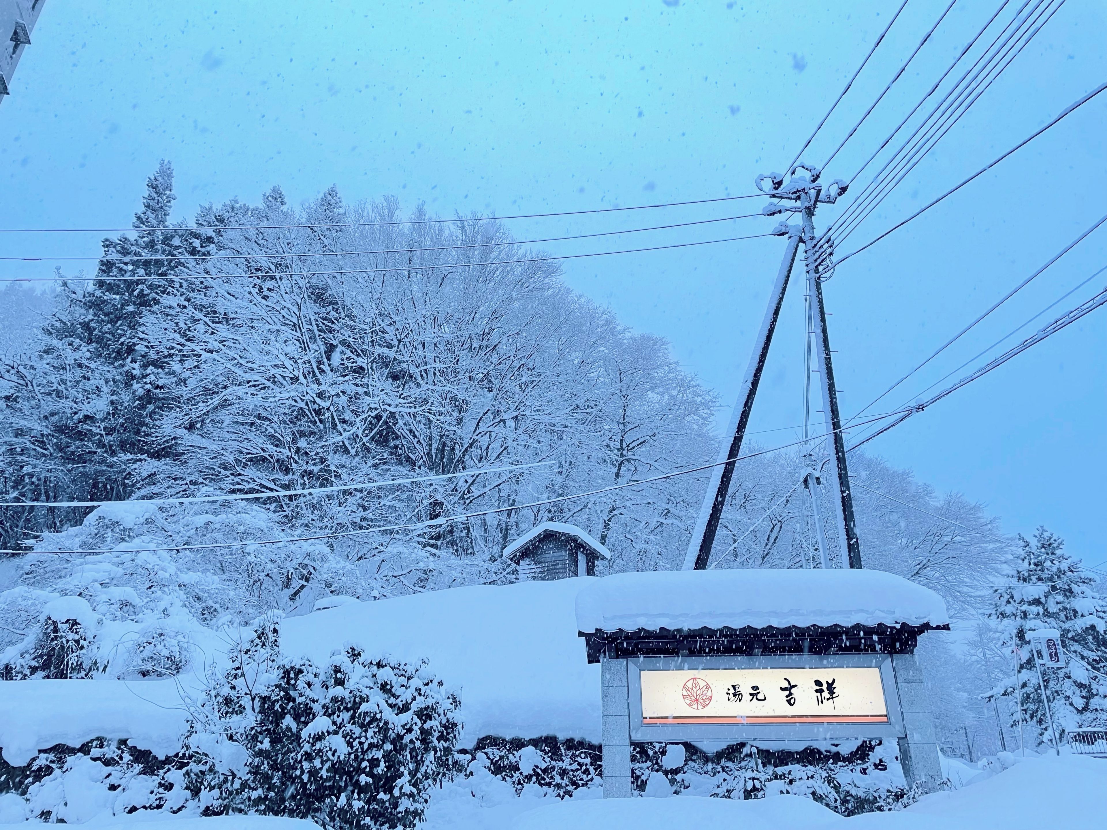 A snow-covered sign with Chinese characters, surrounded by trees and power lines.