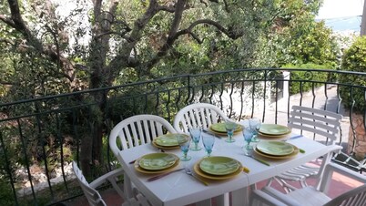 Sea view villa with pool and shady garden, quiet location