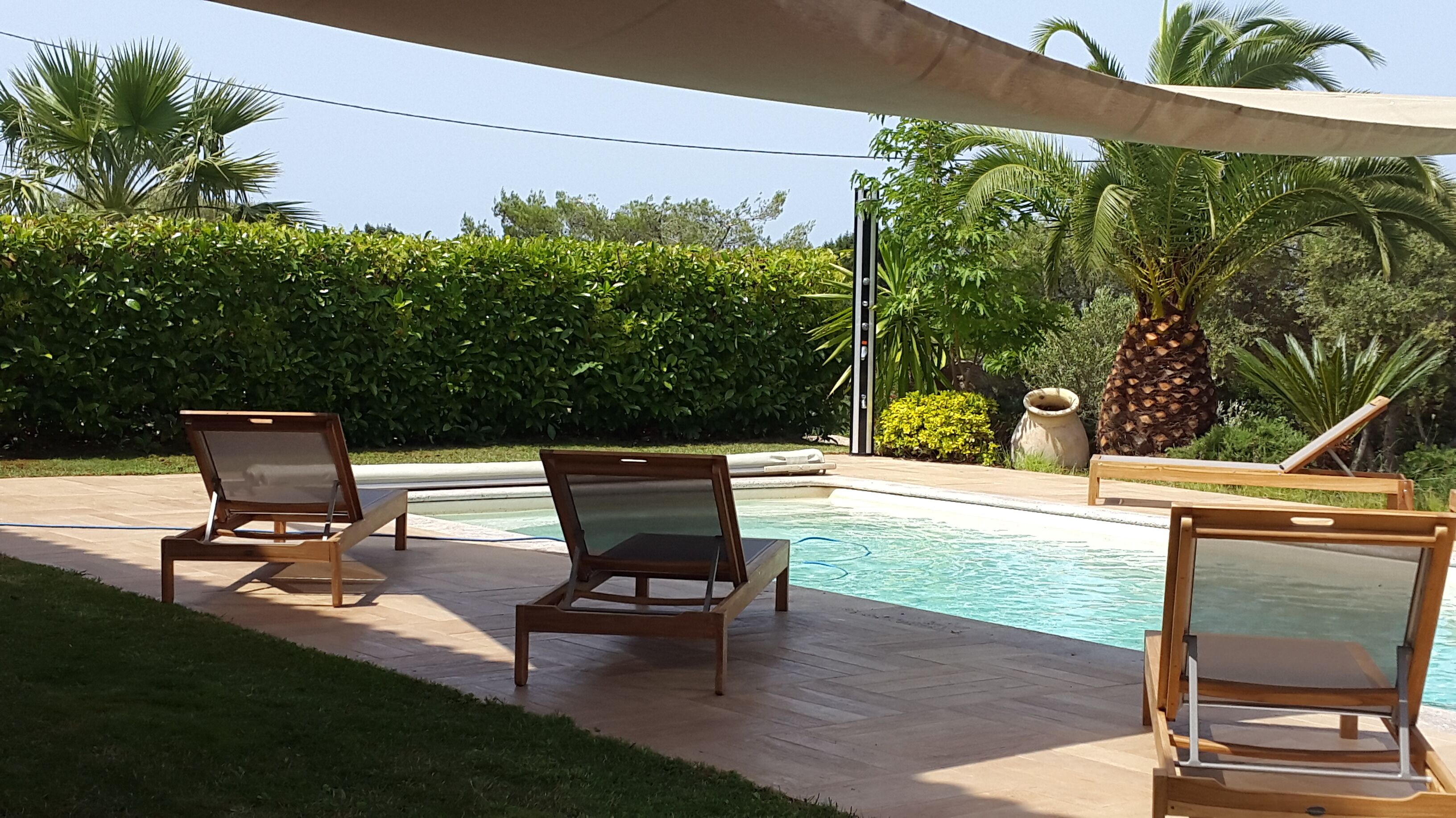 Zona junto a la piscina con sillones de madera y una palmera.
