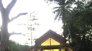 A modern house with a glass facade, surrounded by lush greenery and a stone pathway leading to the entrance.