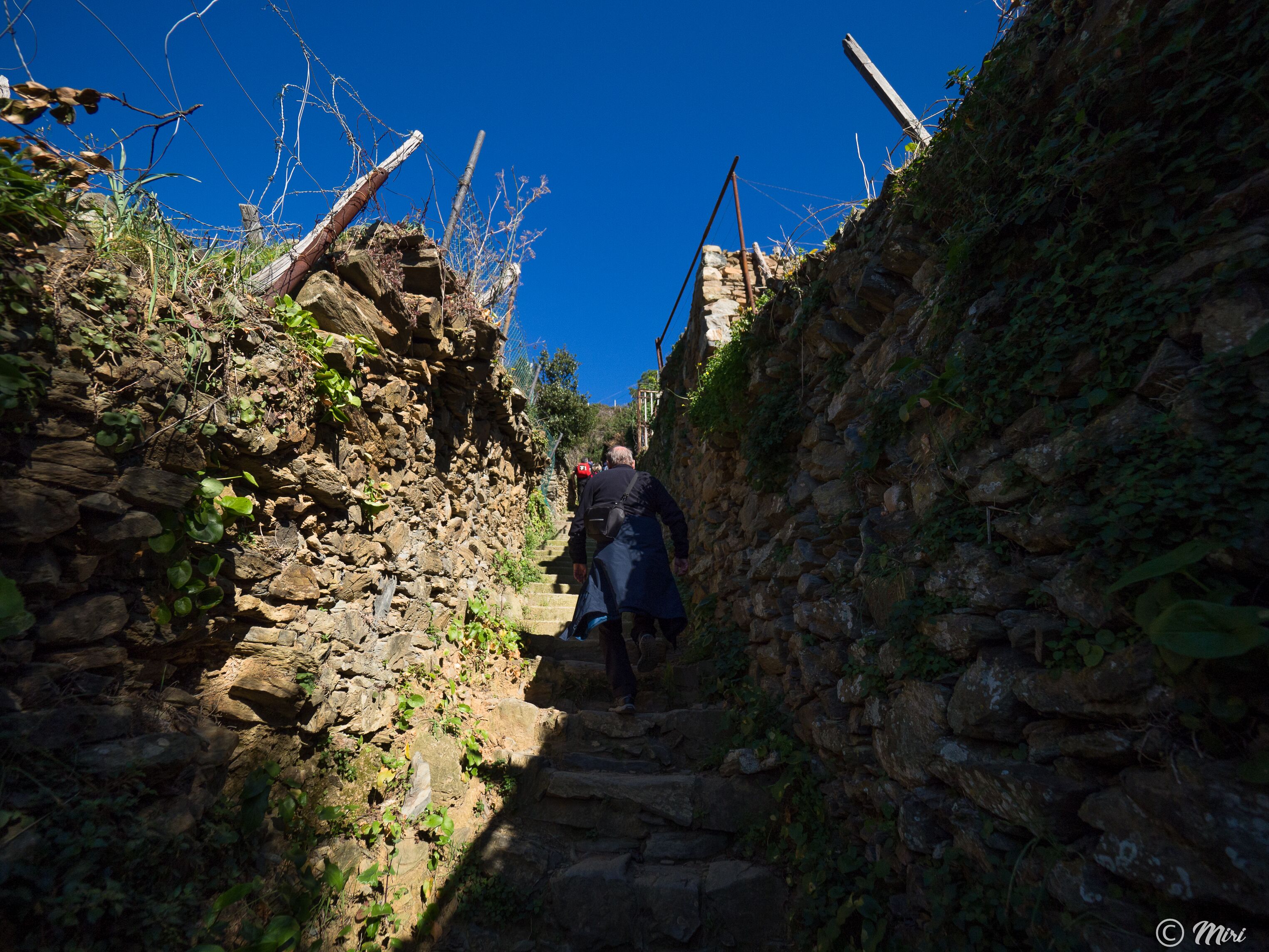 Un étroit sentier de pierres, bordé de végétation, s’étend sous un ciel bleu et dégagé.
