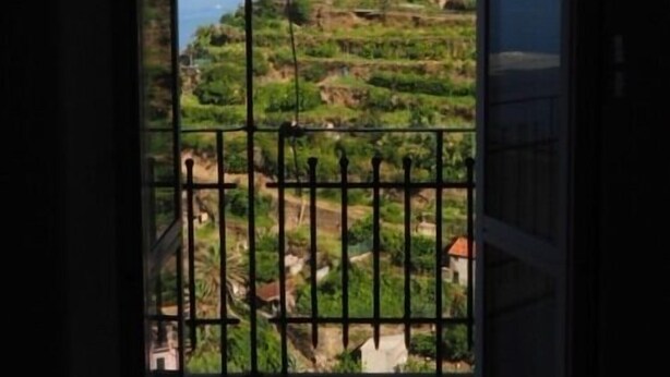 View from room - Radici Sea View Apartment With Balcony (Riomaggiore)