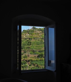 Honeymoon Apartment, 2 Bedrooms | View from room - Radici Sea View Apartment With Balcony (Riomaggiore)