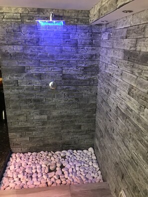 Regadera, secadora de cabello, toallas, papel de baño 