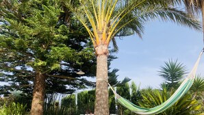 Un hamac est tendu entre deux palmiers dans un jardin, avec un mur de pierre et des chaises en métal.