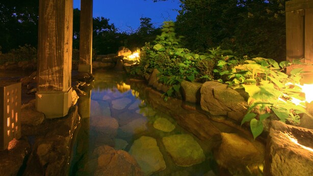 A nighttime garden with a pond, rocks, and plants. - Kuju Kanko Hotel (Kokonoe)