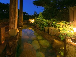 Un giardino notturno con uno stagno, rocce e piante.