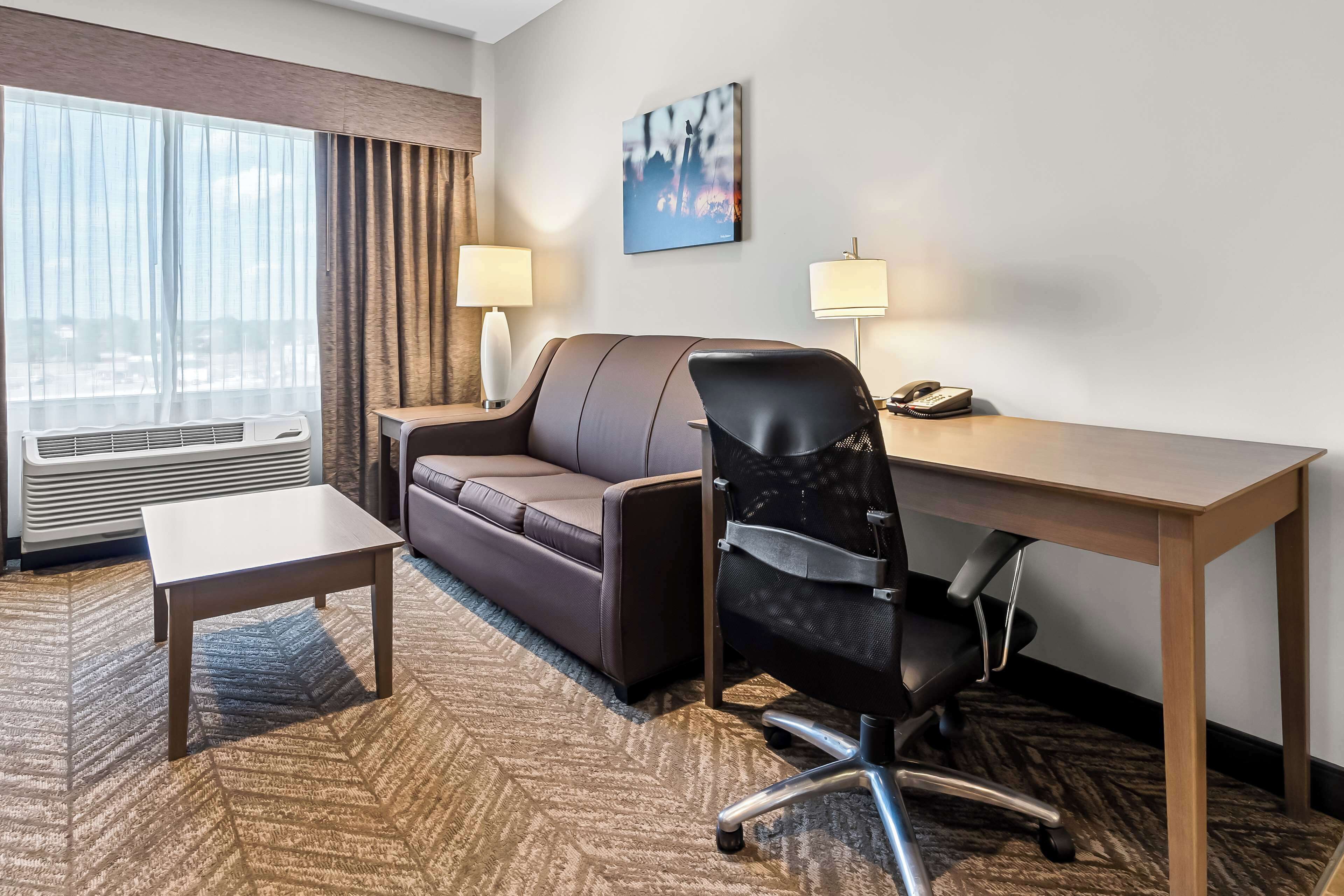 suite, 1 king bed, non smoking, kitchen (with sofabed) | 1 bedroom, desk, laptop workspace, iron/ironing board