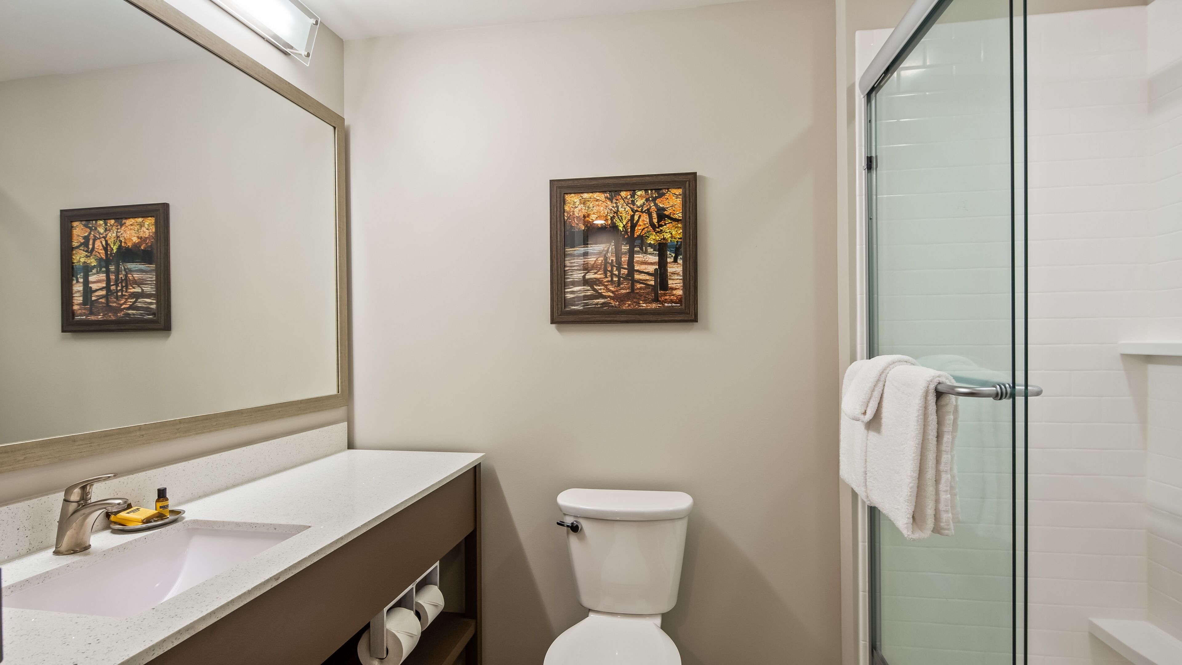 Une salle de bain avec un lavabo blanc, des toilettes et une douche en verre. Deux tableaux encadrés sont accrochés au mur.
