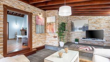 Télévision à écran plat, cheminée, livres