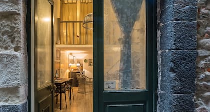Petrella's Point Studio with AC