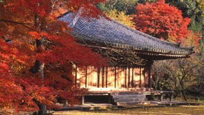 Un edificio tradicional japonés con tejado de tejas y estructura de madera, rodeado de follaje otoñal.