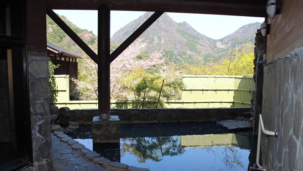 Un edificio japonés tradicional con un patio empedrado de piedra y vistas a flores de cerezo y montañas.