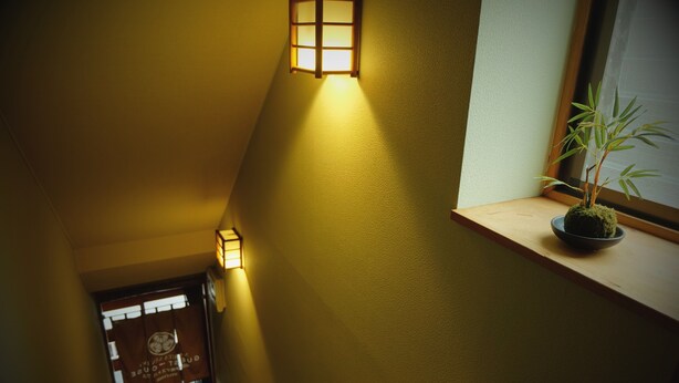 A staircase with wooden handrails and a potted plant on a ledge.