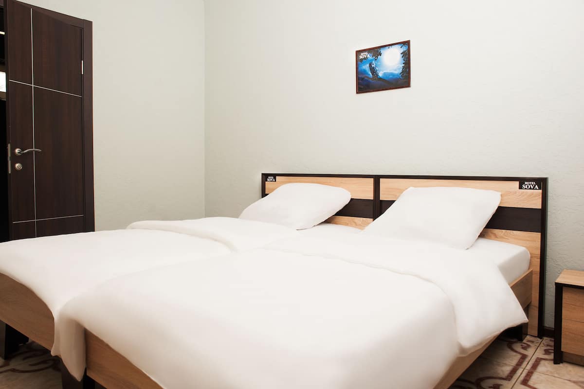 Camera Comfort con 2 letti singoli | Biancheria da letto di alta qualità, una scrivania, tende oscuranti