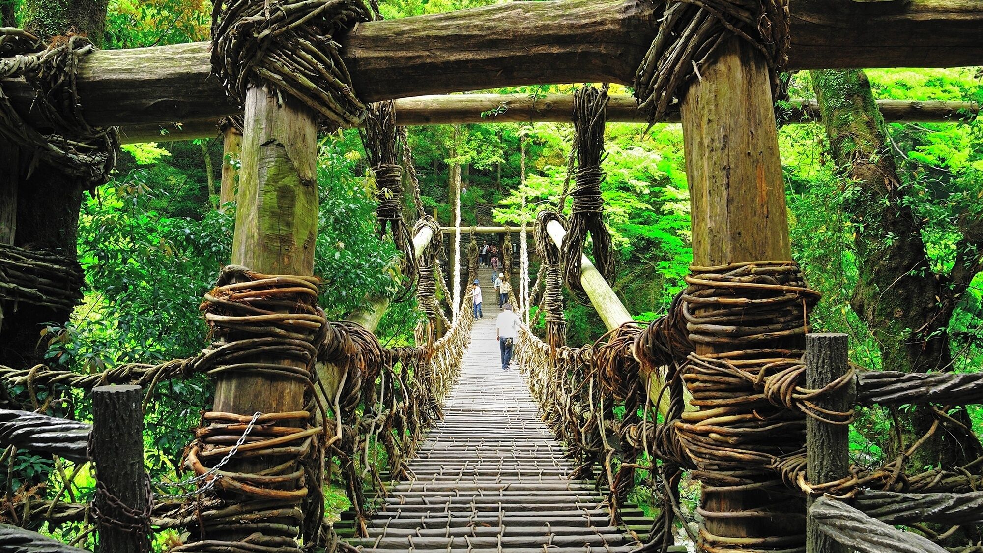 A wooden suspension bridge with rope handrails, surrounded by dense green foliage.