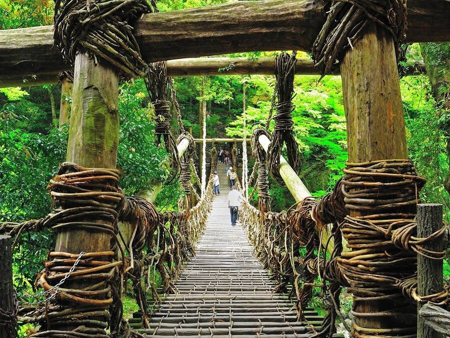 A wooden suspension bridge with rope handrails, surrounded by dense green foliage.