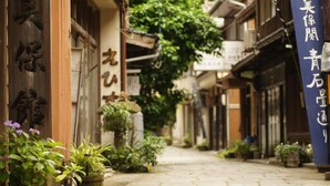 Une ruelle étroite bordée de bâtiments traditionnels, de panneaux en bois et de plantes en pot.