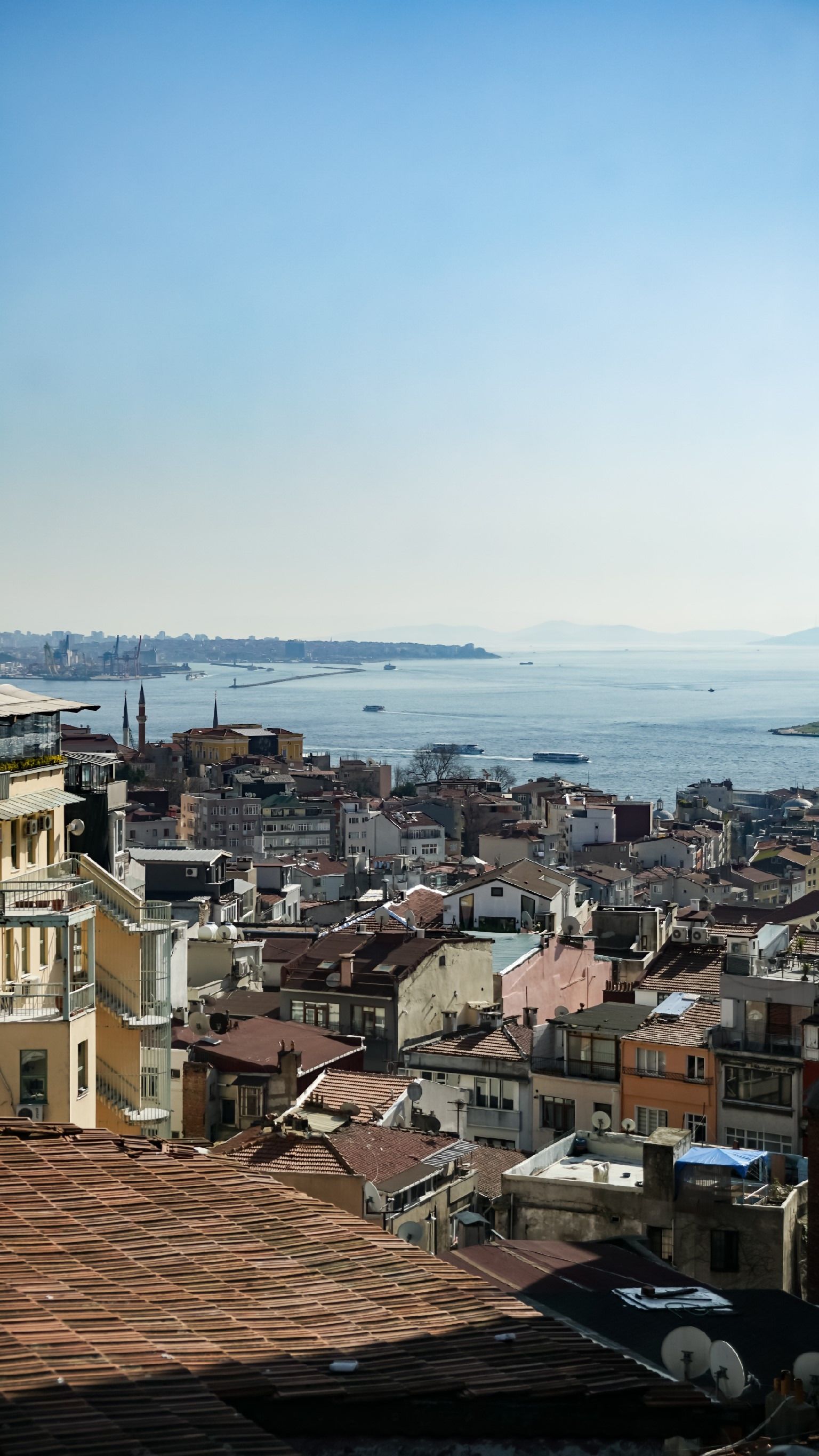 Foto - Maroon Tomtom