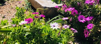 Hotel Timpe Bianche San Vito Lo Capo