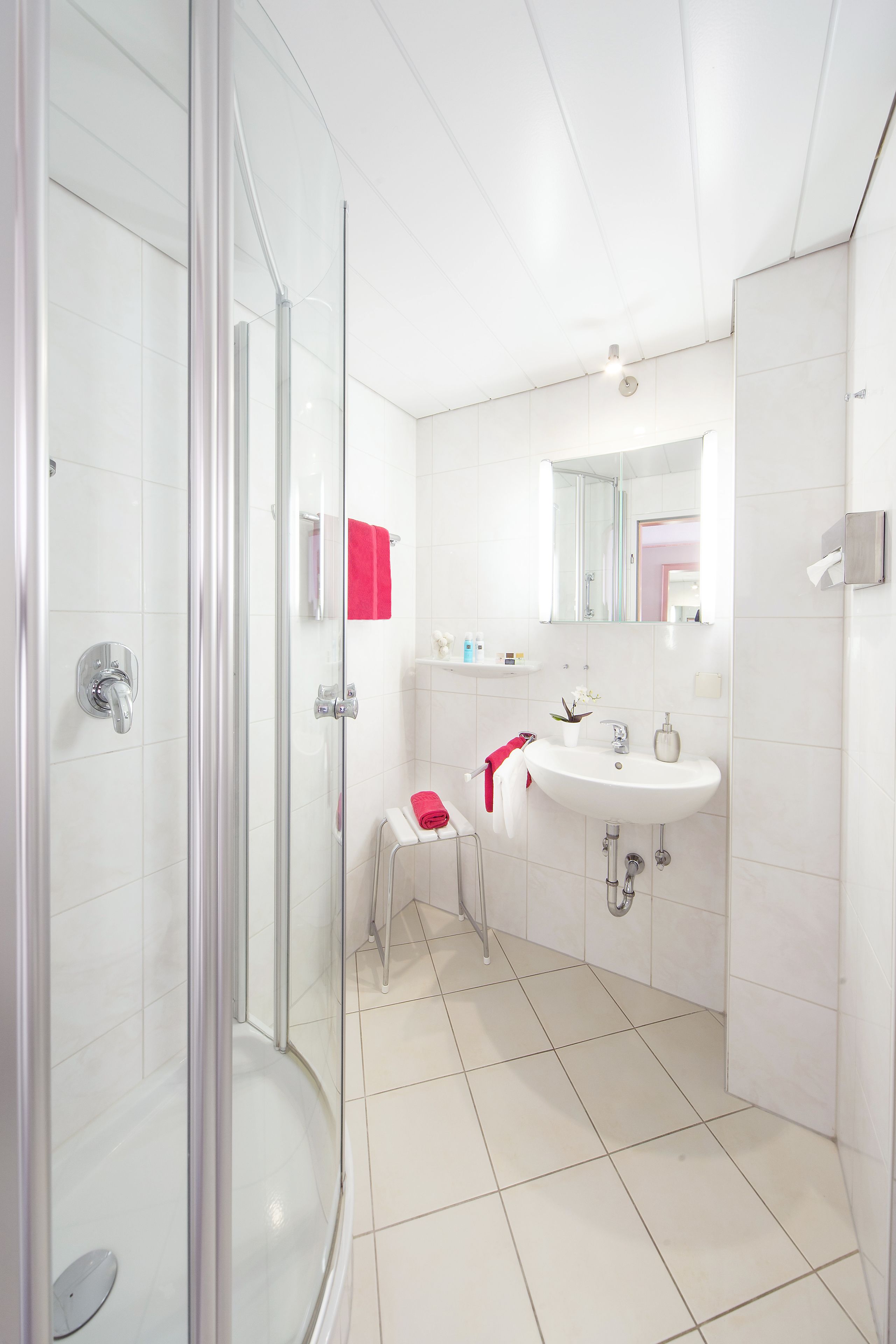A modern bathroom with a glass shower enclosure, a white sink, and a mirror above it.
