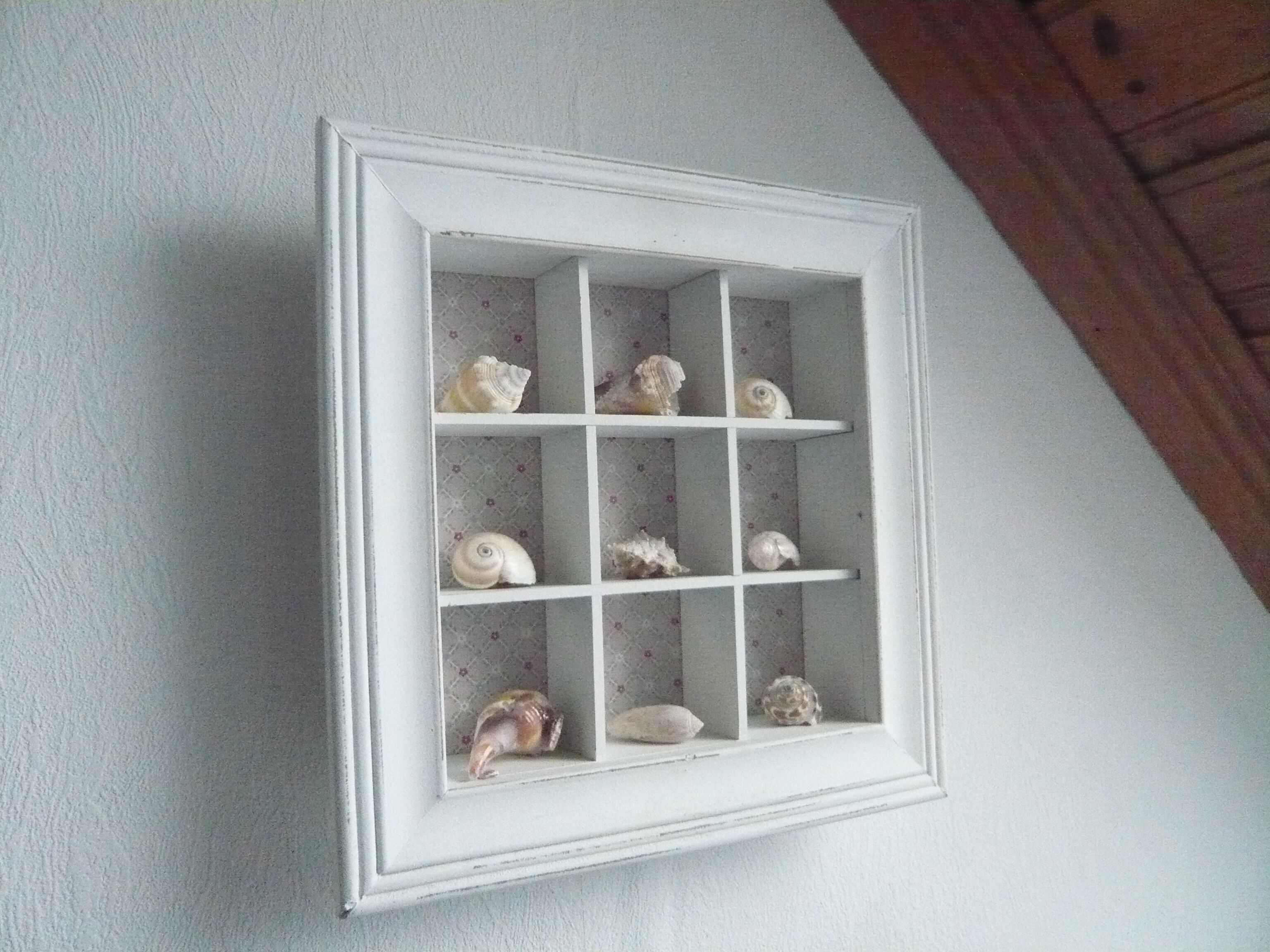 A white, wall-mounted display case with multiple shelves, each containing various shells and a small decorative item.