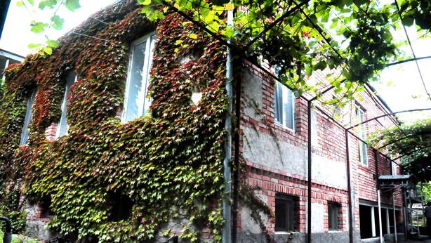 Un edificio de ladrillo cubierto de hiedra en las paredes exteriores.