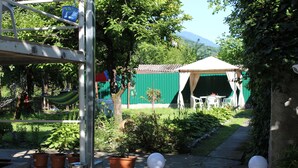 Un jardín con plantas en macetas, un pabellón y una estructura metálica.