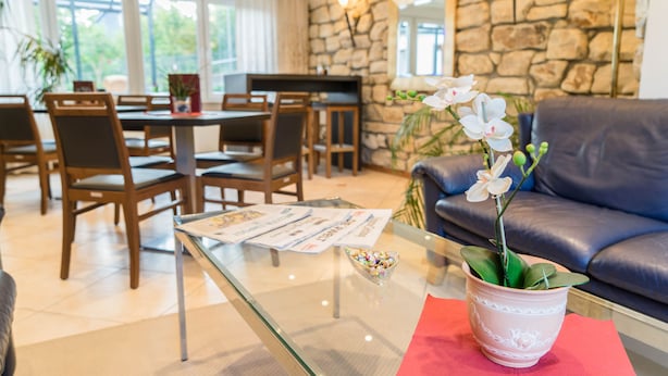 A living room with a glass coffee table, a potted orchid, a dining area with wooden chairs, and a stone wall. - Hotel Bürger (Siegen)