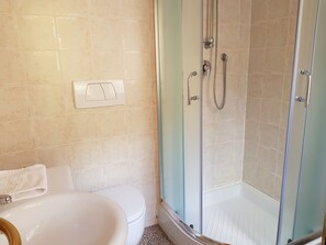 A bathroom with a toilet, a shower with a glass door, and a towel on the floor. - Augusto charming flat with sea view (Monterosso al Mare)
