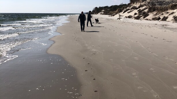 Beach - Glimminge Bed & Breakfast (Simrishamn)