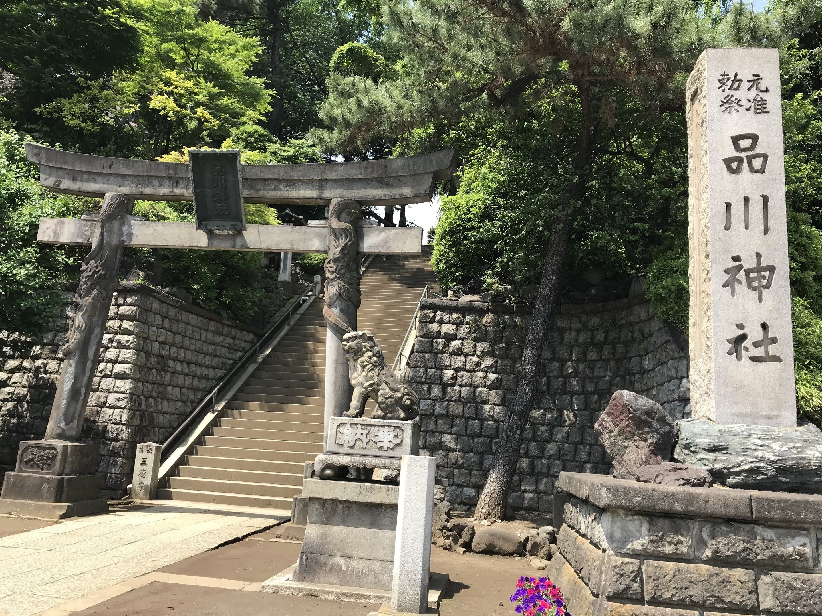 city view from property