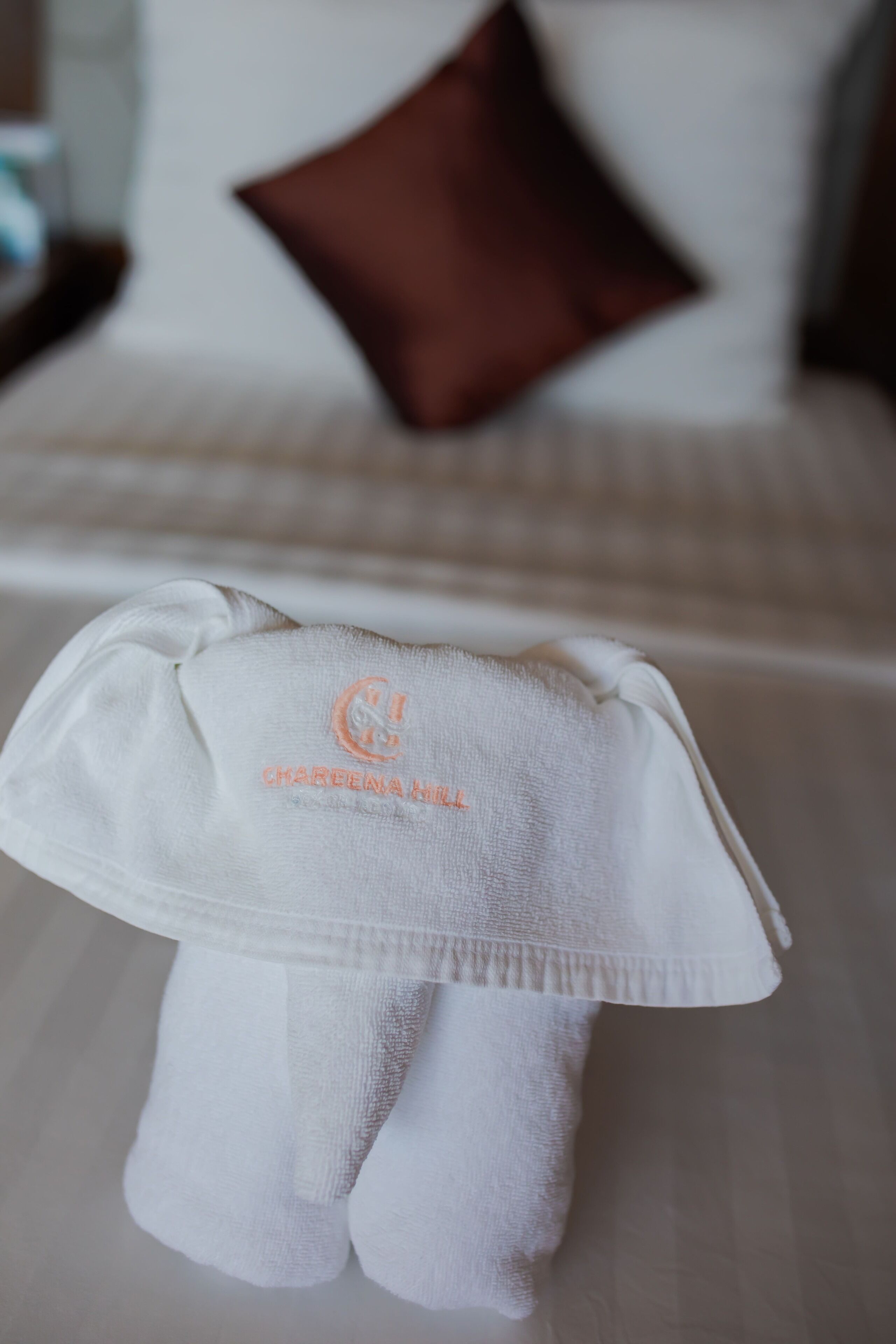 Photo - Chareena Hill Beach Resort