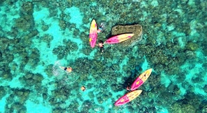 Kajakpaddling