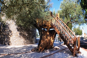 Children's play area - outdoor - Geranion Village (Sithonia)