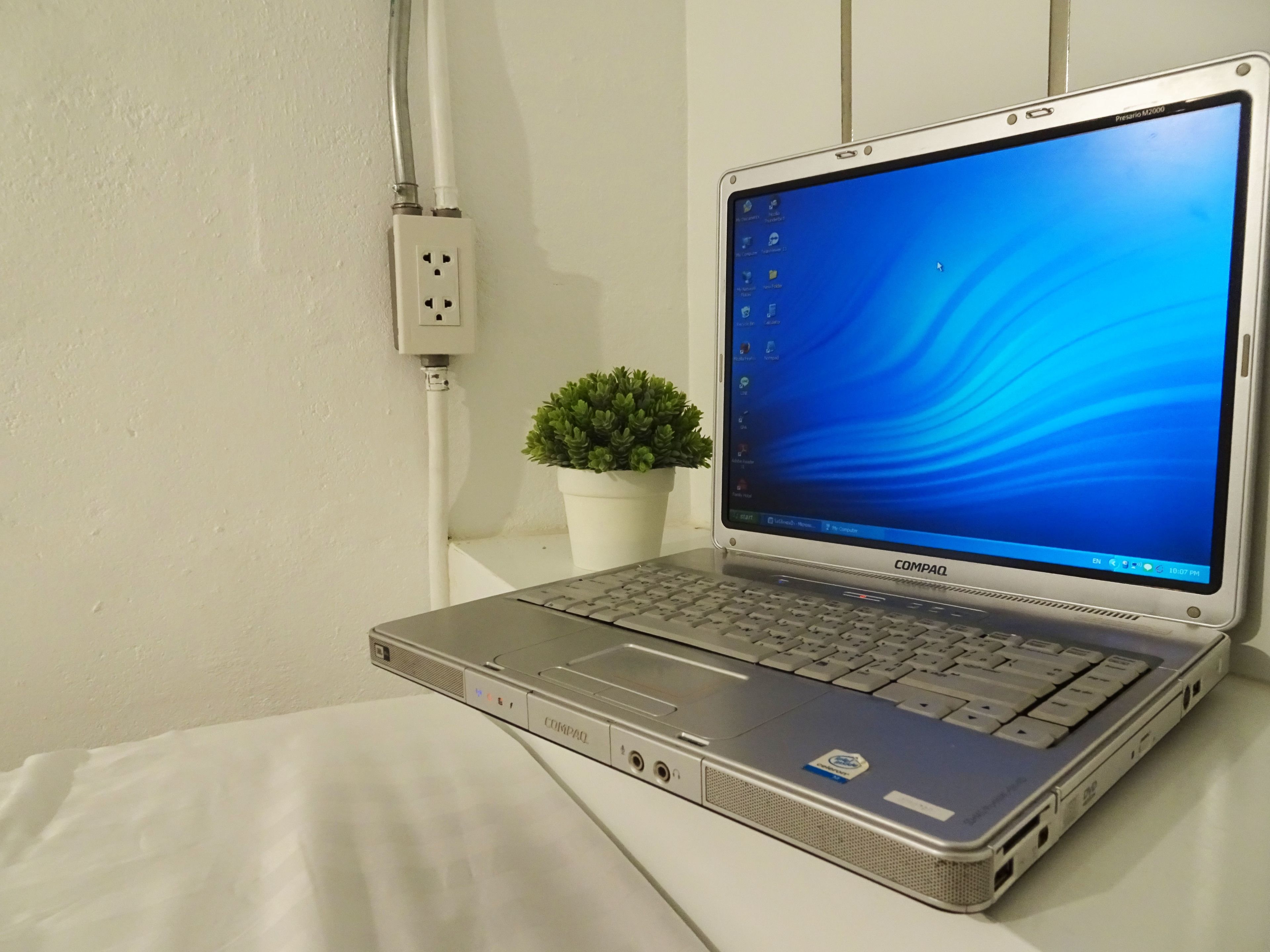 Foto - What's Up Chiang Mai