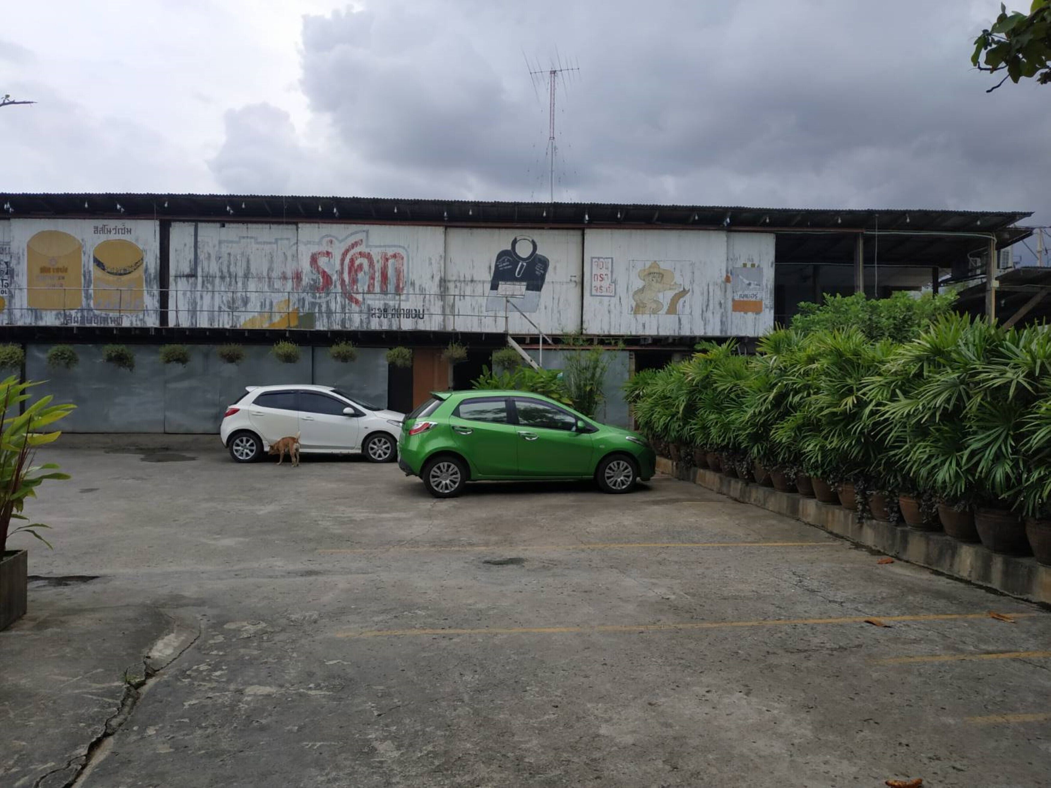 Foto - What's Up Chiang Mai