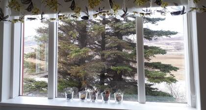 Brúnalaug Guesthouse Holiday Home