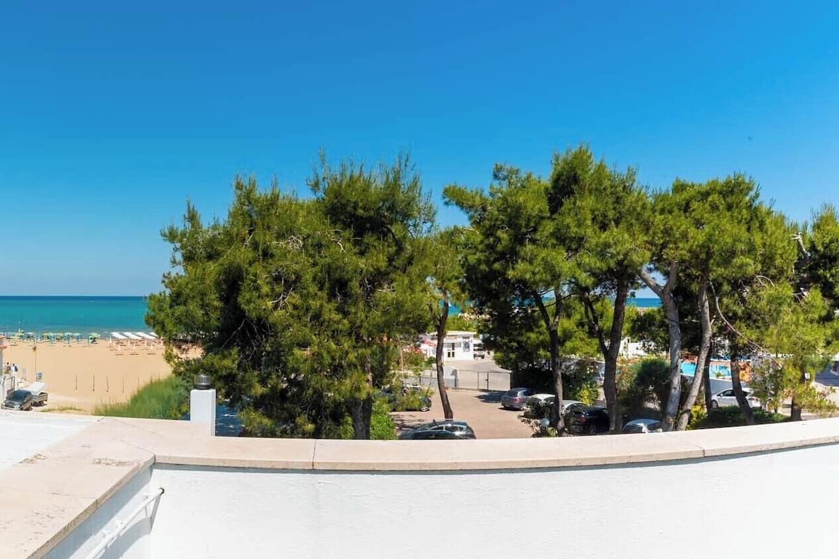 Een uitzicht op de kust met heldere lucht, een strand en een parkeerplaats met bomen.
