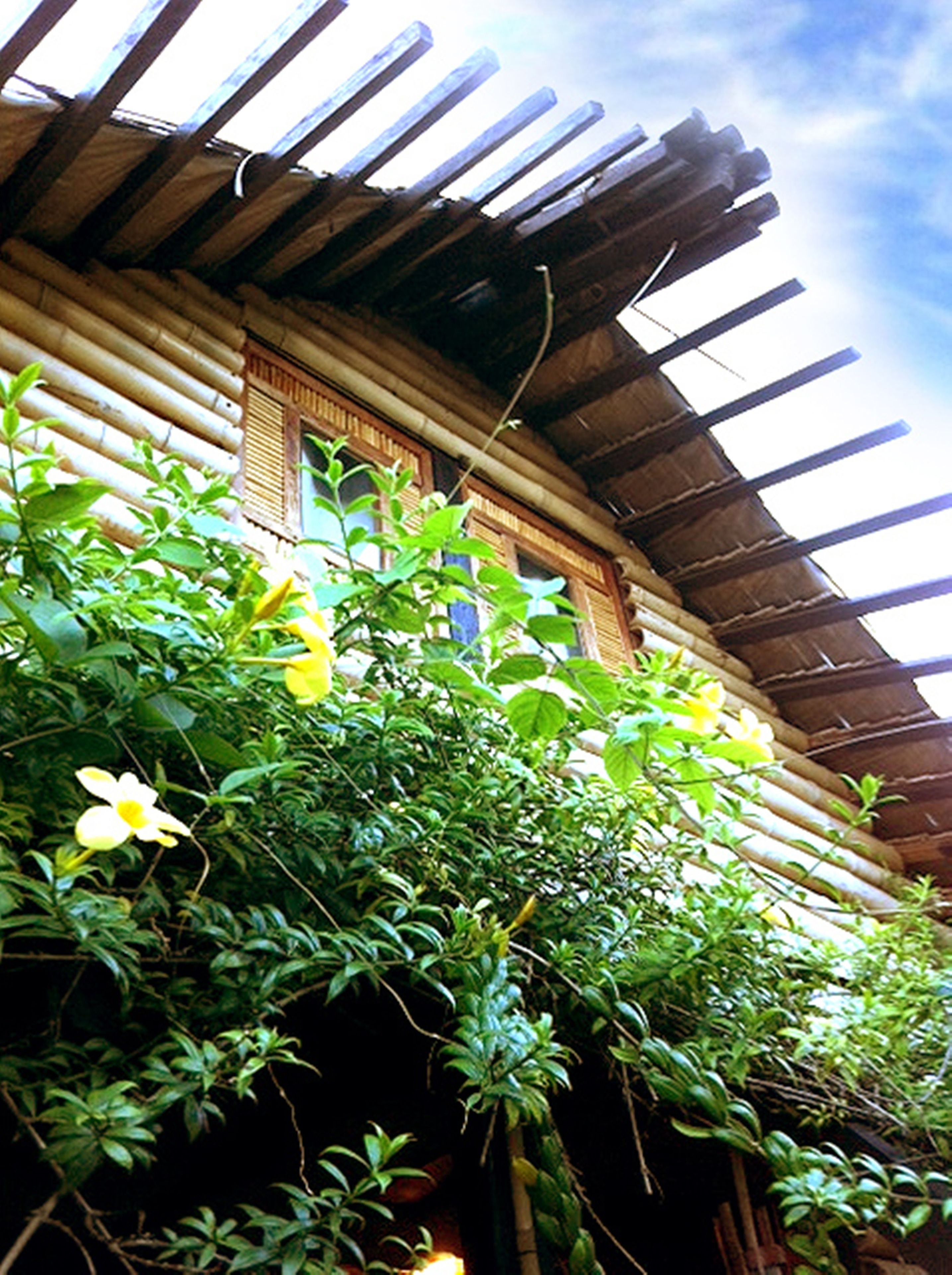 Photo - The Village House