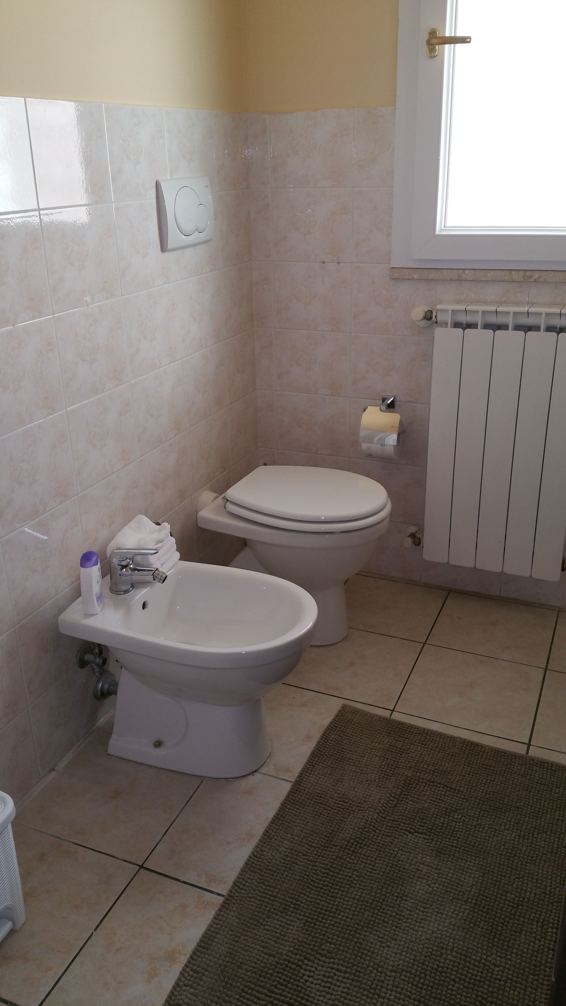 A bathroom with a toilet, bidet, and a radiator.