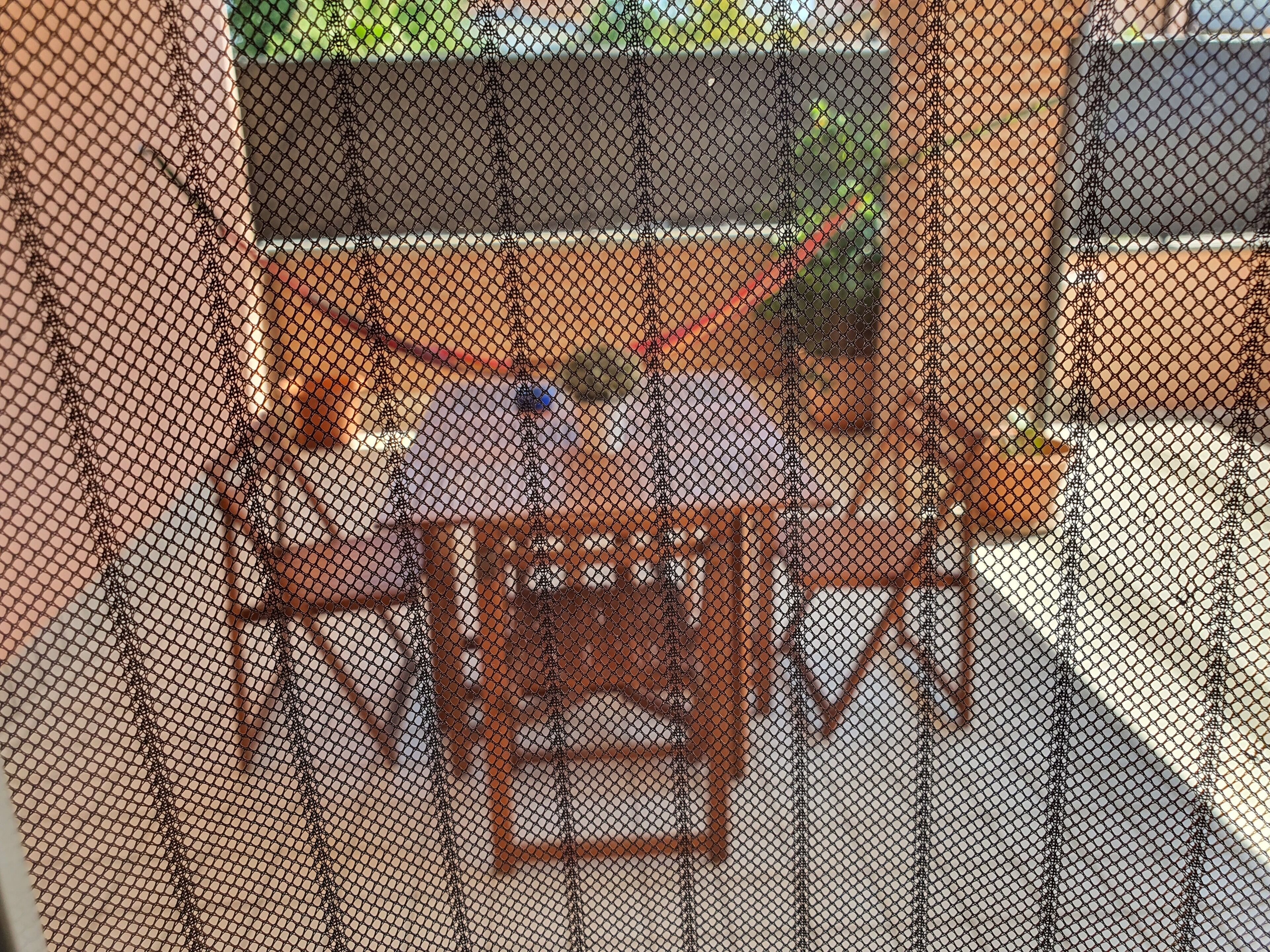 Foto - Guest House Brezza Marina