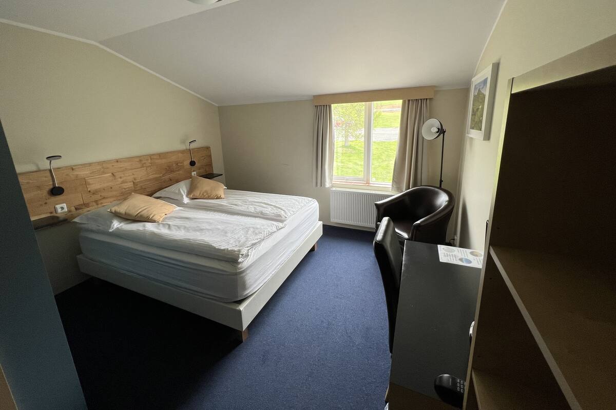 Une chambre d’hôtel avec un lit double, un bureau, une chaise, une fenêtre avec des rideaux, un radiateur et un luminaire au plafond.