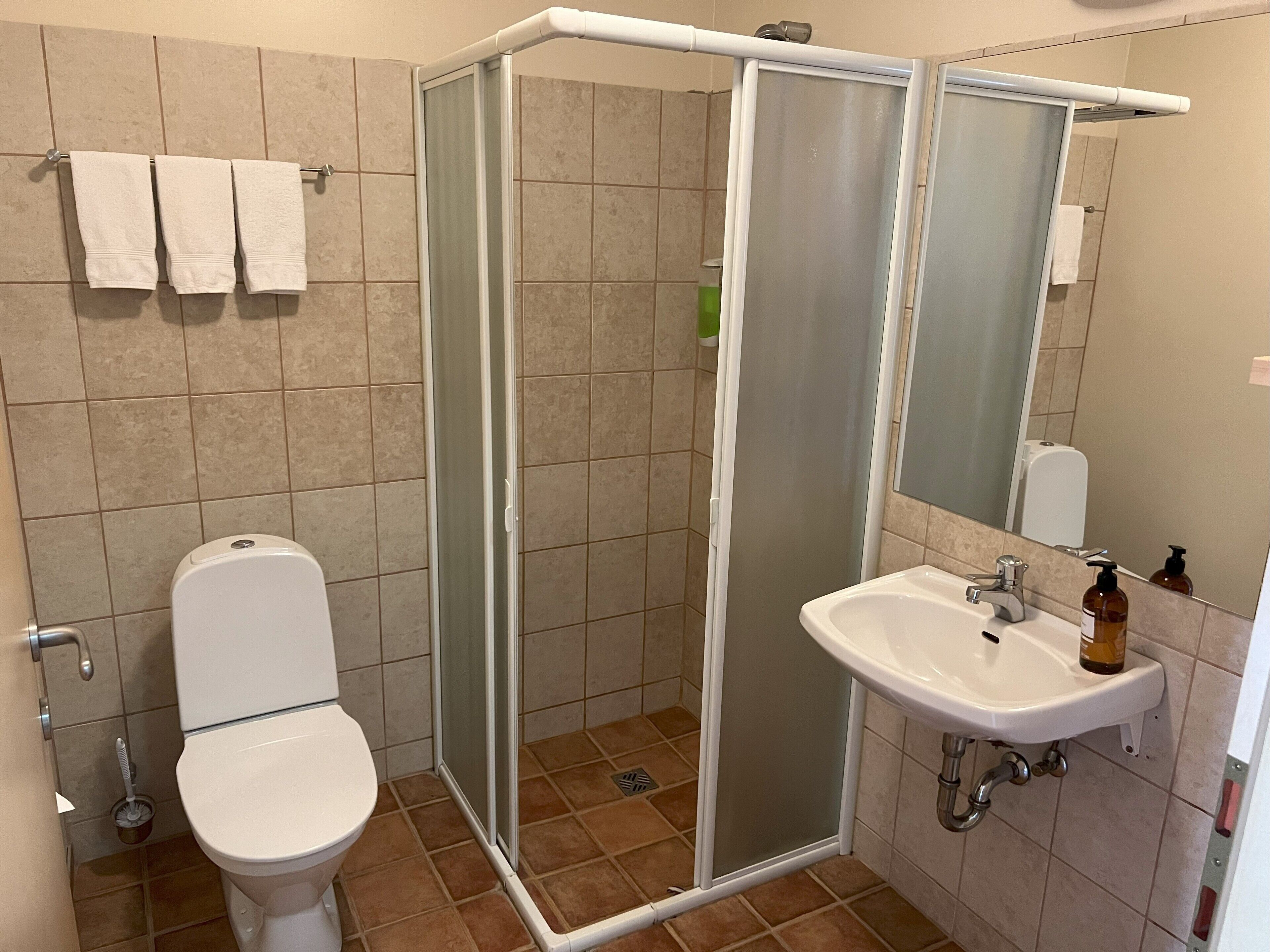 standard triple room, private bathroom | bathroom | shower, hair dryer, towels