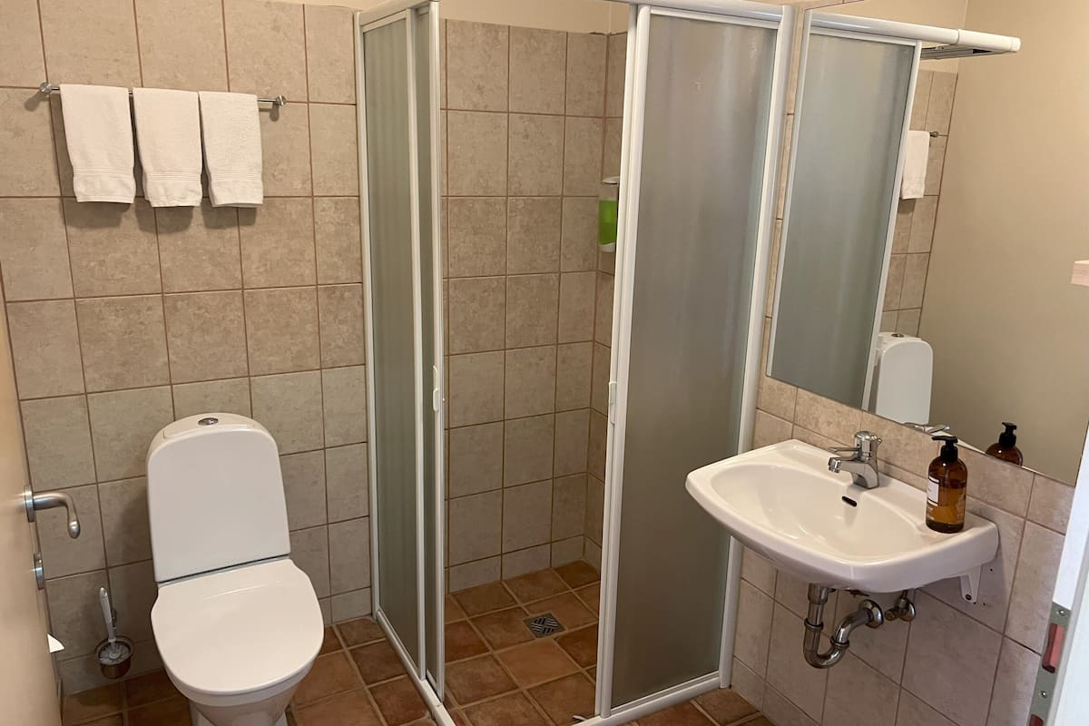 standard triple room, private bathroom | bathroom | shower, hair dryer, towels