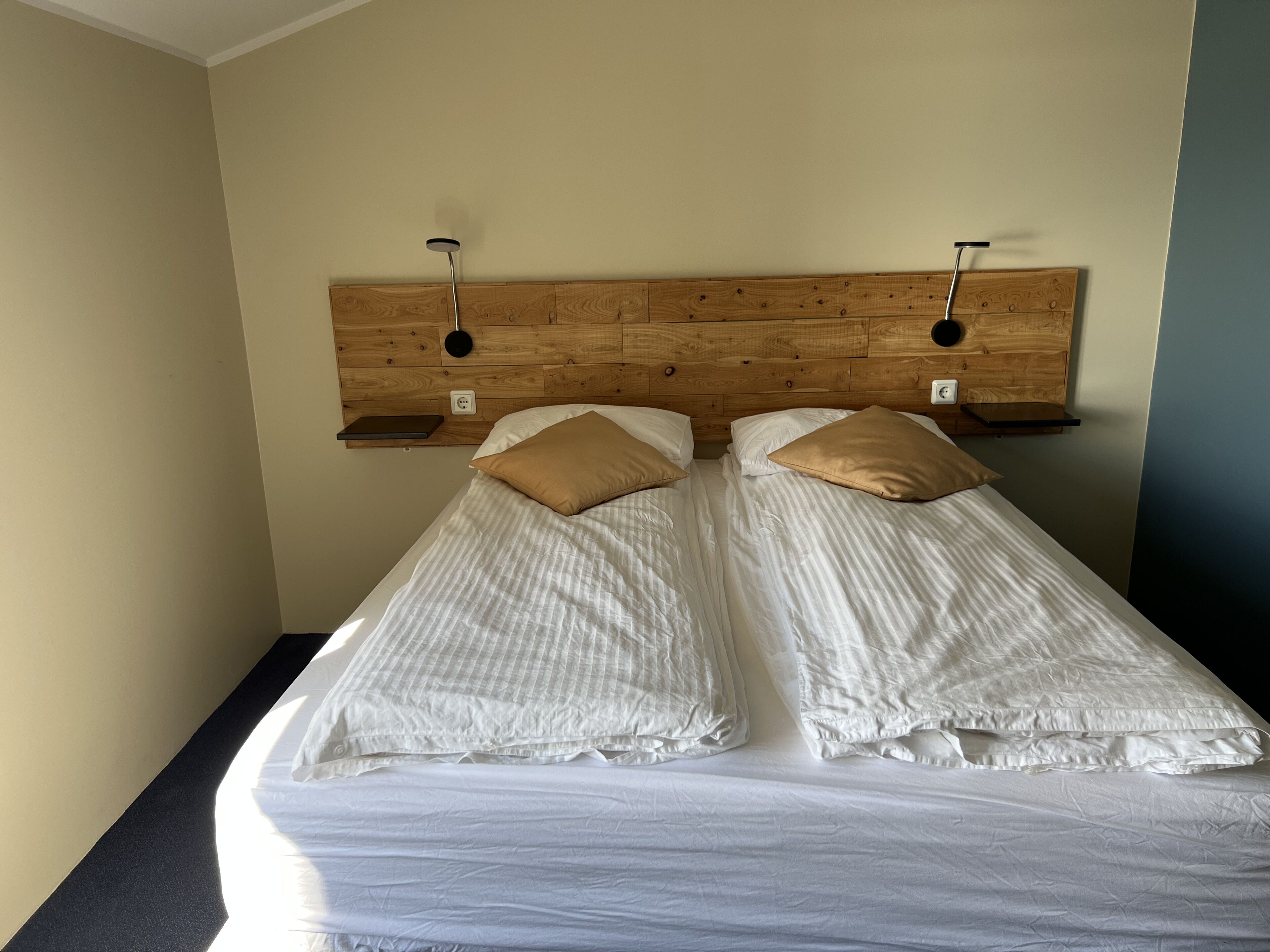 A double bed with two pillows, a wooden headboard, and bedside tables.