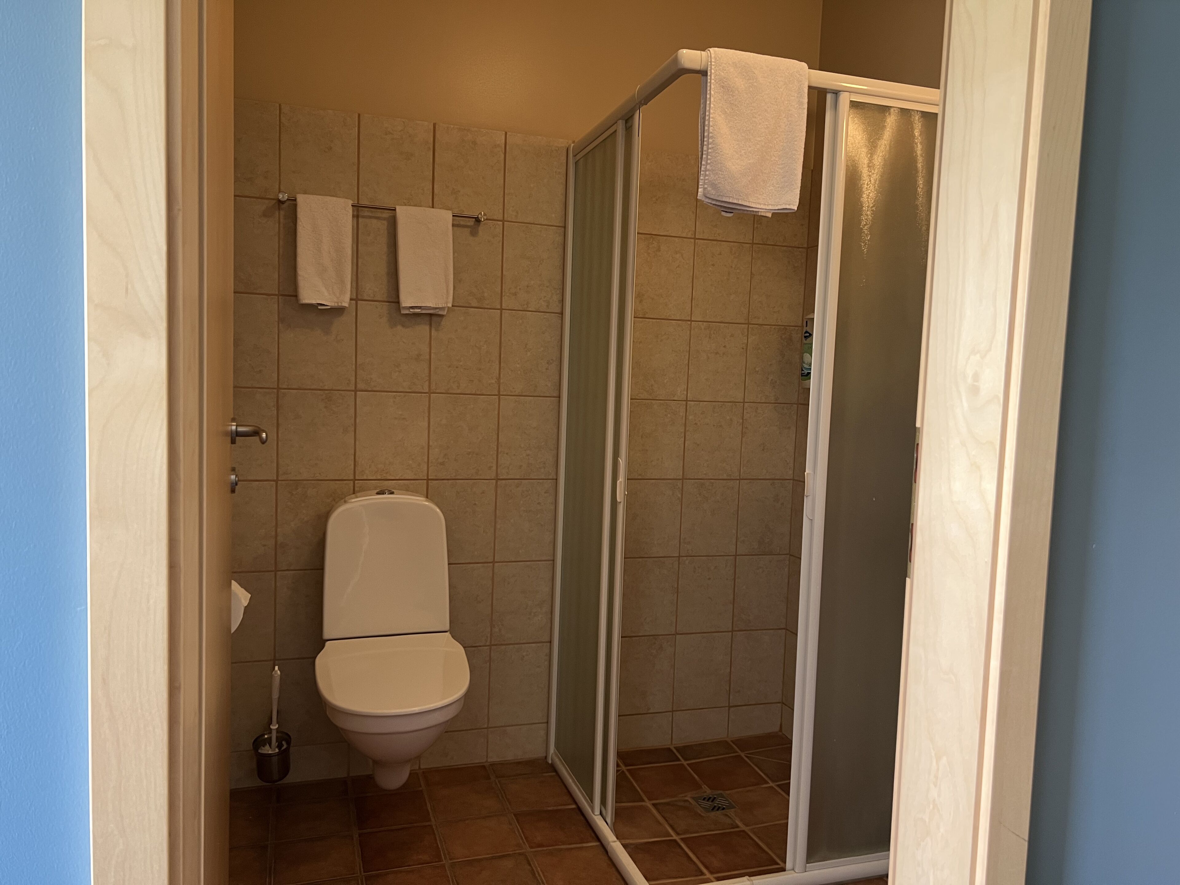 A bathroom with a toilet, a shower with a glass door, and a towel rack with two towels.
